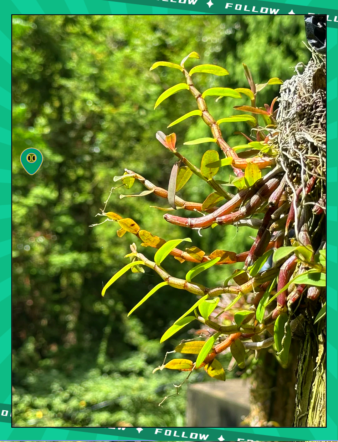 攀岩体验日,绿色运动新宠的简单介绍 攀岩体验日,绿色运动新宠的简单介绍