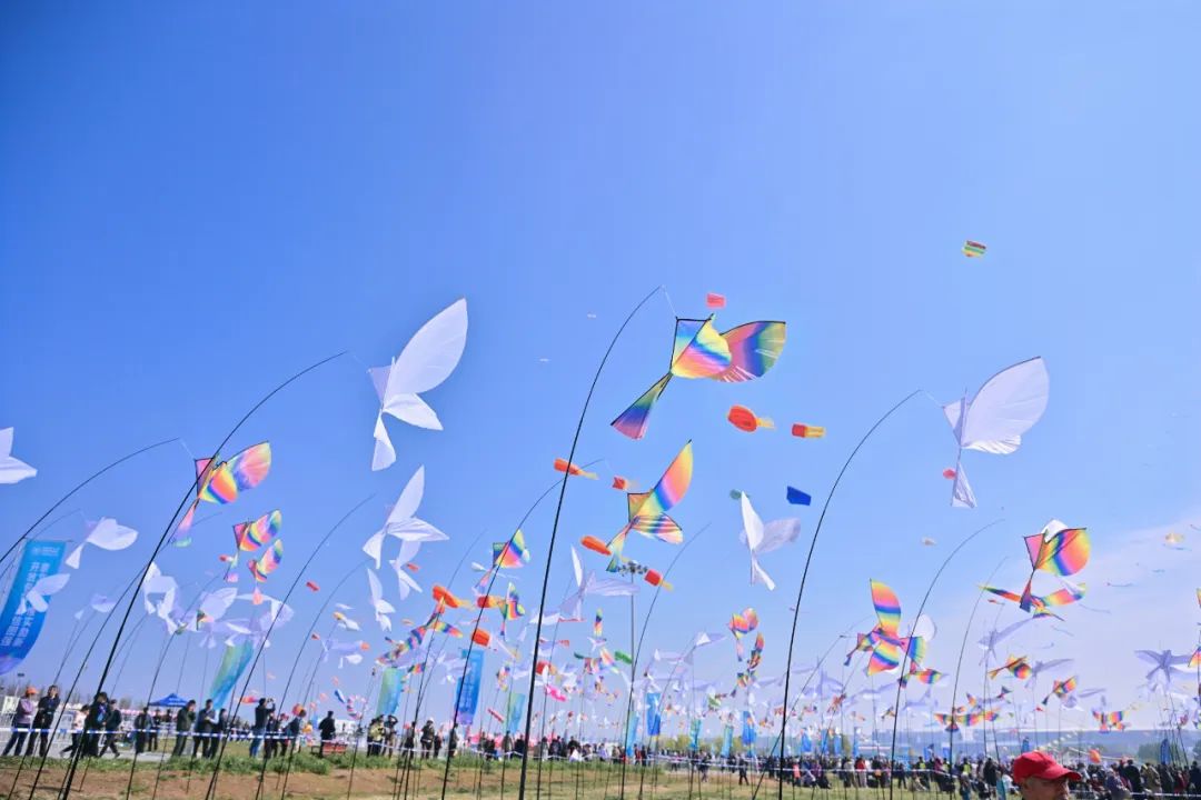 九游下载中心-关于大型海上风筝比赛，天空中的运动盛典的信息