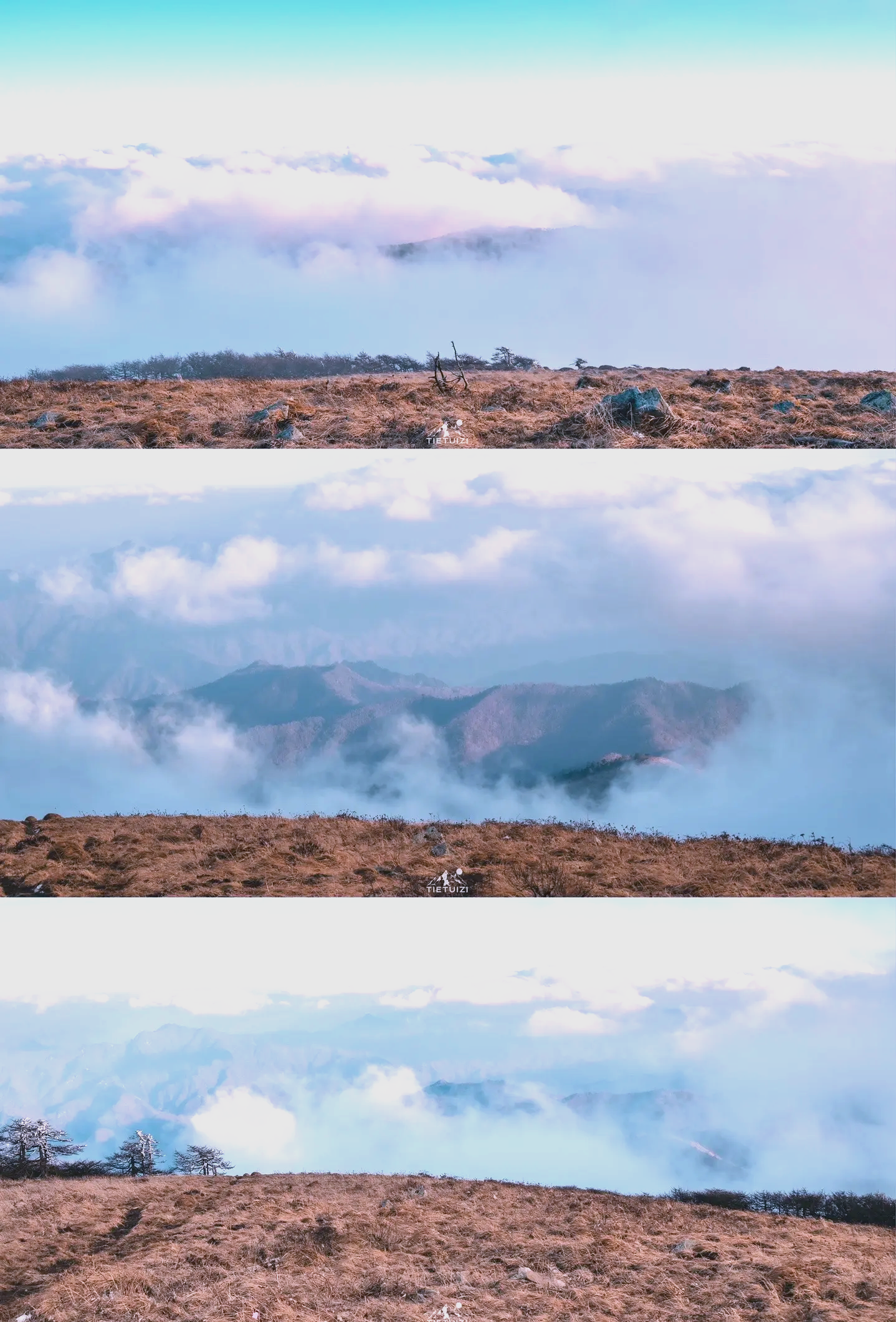 包含特色登山徒步穿越，探索未知的自然奇妙的词条