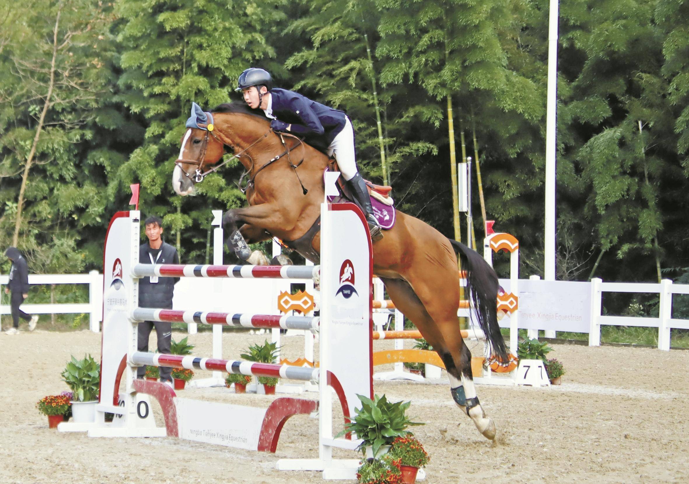 关于乡村特色趣味骑马赛，乡土运动新体验的信息