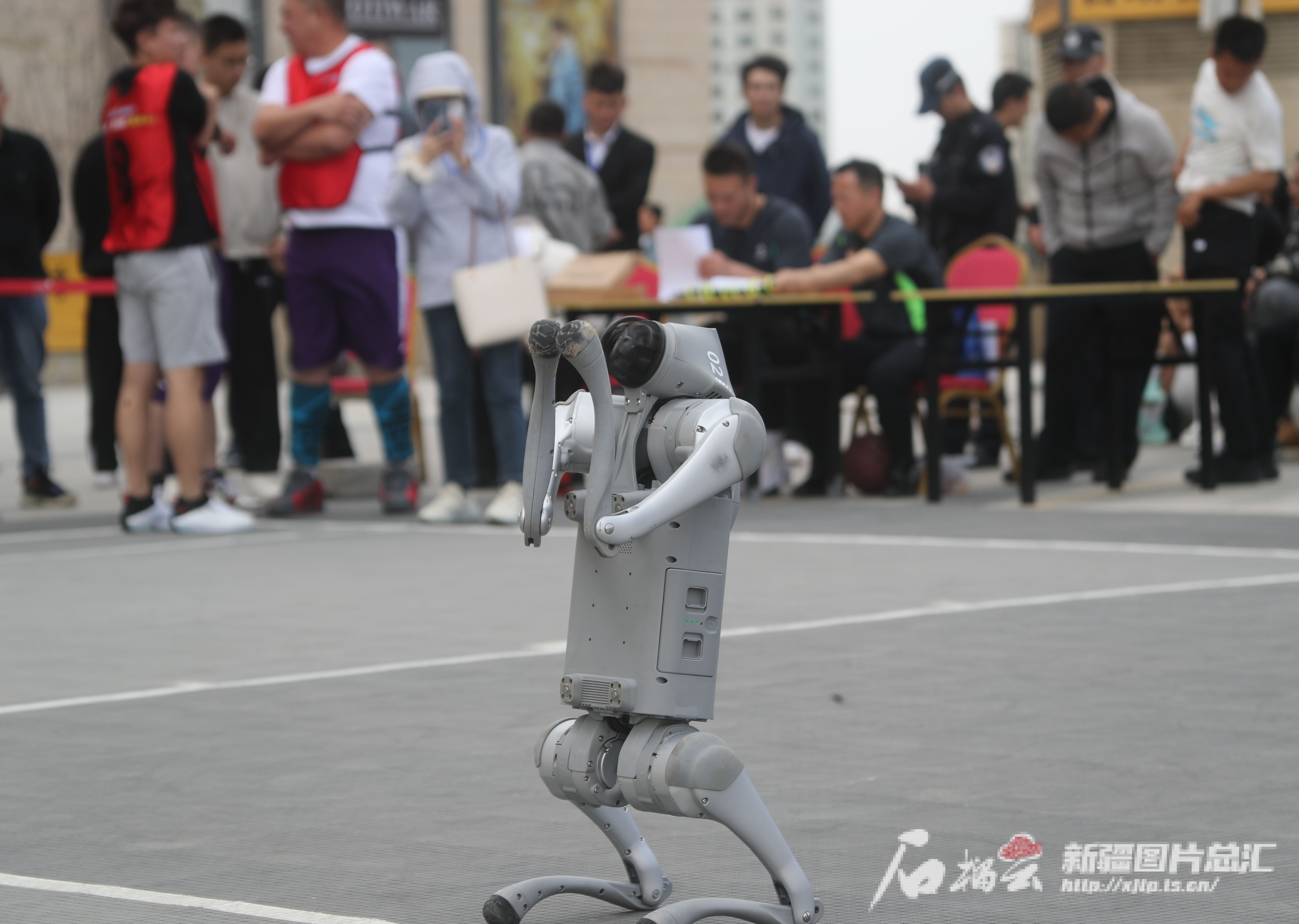 九游9游-包含篮球主题城市雕塑集结，展现运动魅力与城市风采的词条