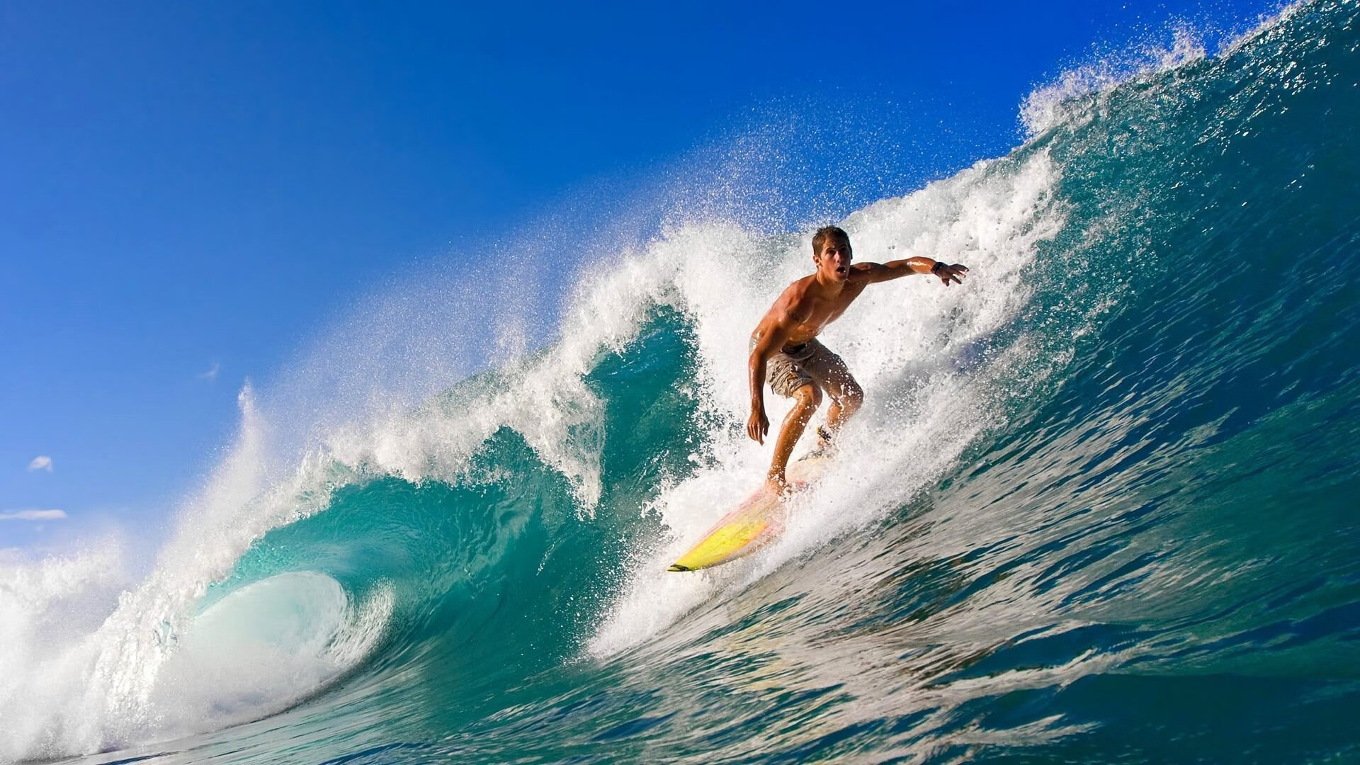 法甲亮点不断，精彩进球和精彩扑救令人目不转睛，法甲 经典比赛